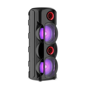 Sing-e ZQS8225 RGB Party Dual Speaker 8 inch 30W Black