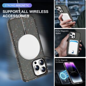 Snowflake Magnetic Case IP 14 — Black
