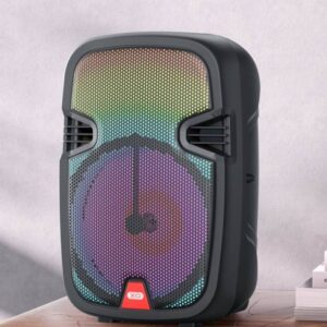 XO F51 Color Jade Outdoor RGB Bluetooth Speaker (with remote control + wired microphone *1) Black