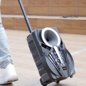Hoco DS40 8-inches BT speaker with trolley black