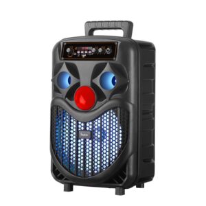 Hoco DS39 8-inches portable BT speaker black