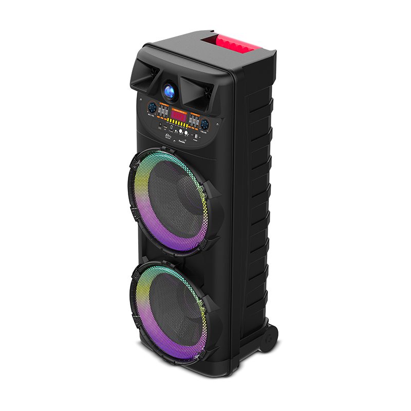 Sing-e ZQS10205 RGB Party Dual Speaker 10 inch 50W Black - imagine 2