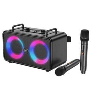Hoco DS77 Present wireless dual-mic BT speaker black